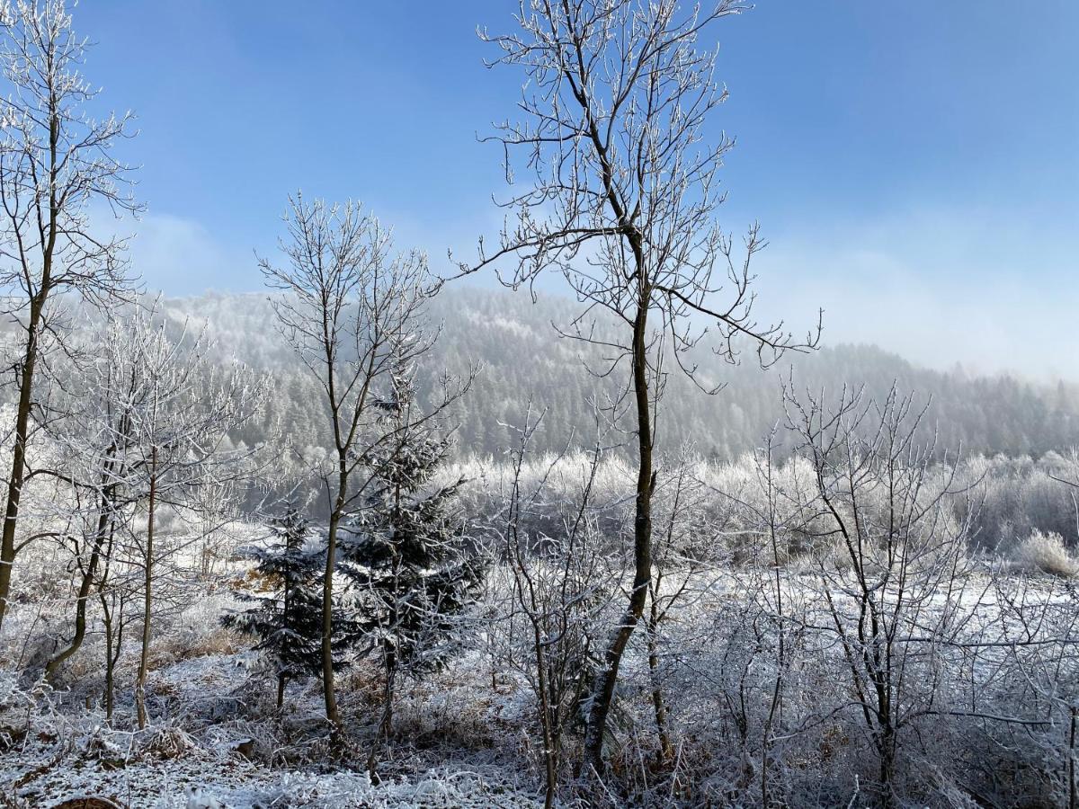 Pokoje Goscinne Pod Jaworem - Obok Pieknego Szlaku Wzdluz Rzeki Bialka, 1Km Do Stokow Kotelnica Exteriér fotografie